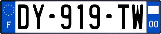 DY-919-TW