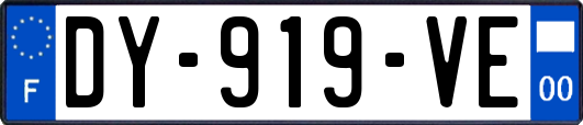 DY-919-VE