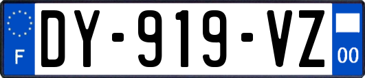 DY-919-VZ