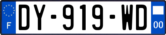 DY-919-WD