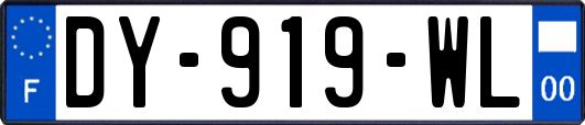 DY-919-WL