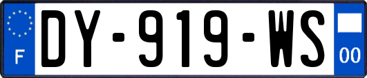 DY-919-WS