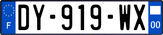 DY-919-WX