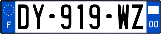 DY-919-WZ