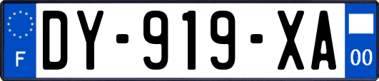 DY-919-XA