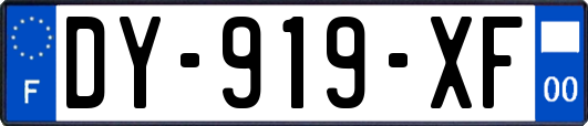 DY-919-XF