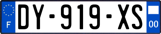 DY-919-XS