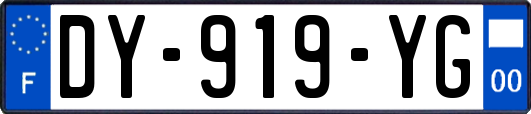 DY-919-YG