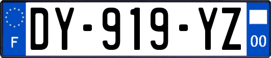 DY-919-YZ