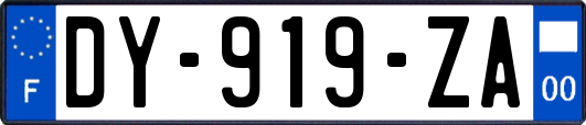 DY-919-ZA