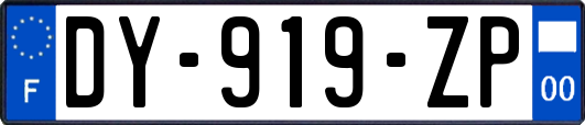 DY-919-ZP