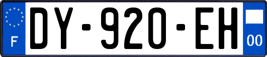 DY-920-EH