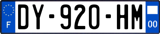 DY-920-HM