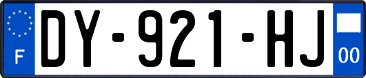 DY-921-HJ