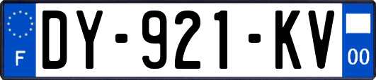 DY-921-KV