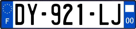 DY-921-LJ
