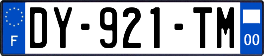 DY-921-TM