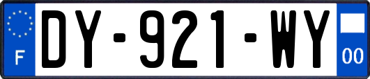 DY-921-WY