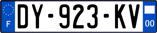 DY-923-KV