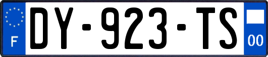 DY-923-TS