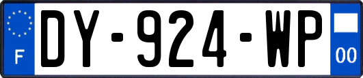 DY-924-WP