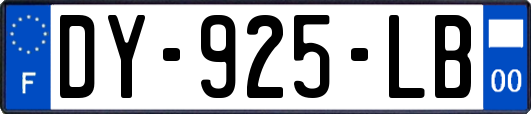 DY-925-LB