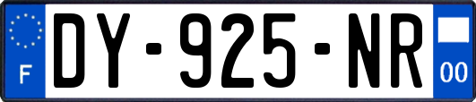 DY-925-NR