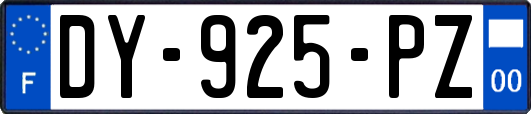 DY-925-PZ