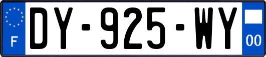 DY-925-WY