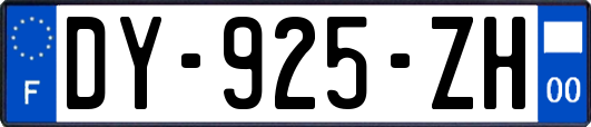 DY-925-ZH