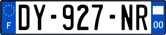 DY-927-NR