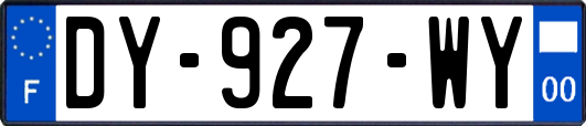 DY-927-WY