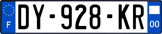 DY-928-KR