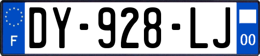 DY-928-LJ