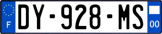 DY-928-MS