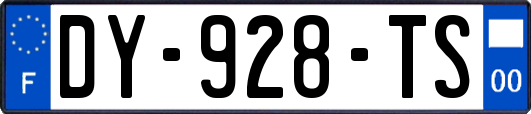 DY-928-TS