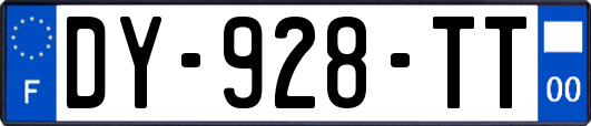 DY-928-TT