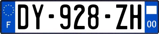 DY-928-ZH