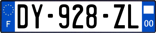 DY-928-ZL