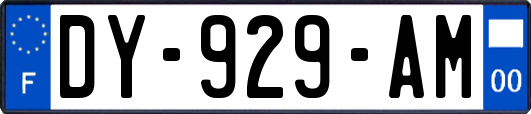 DY-929-AM