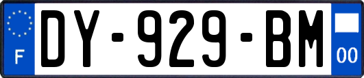 DY-929-BM