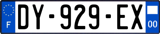 DY-929-EX