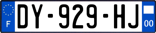 DY-929-HJ