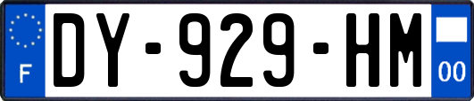 DY-929-HM