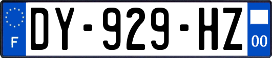 DY-929-HZ