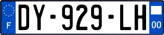 DY-929-LH