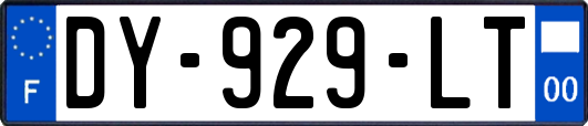 DY-929-LT