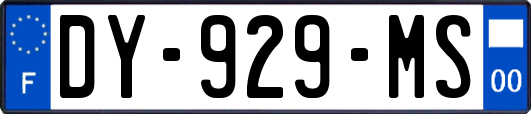 DY-929-MS