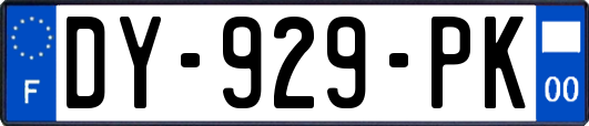 DY-929-PK