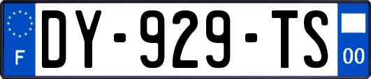 DY-929-TS